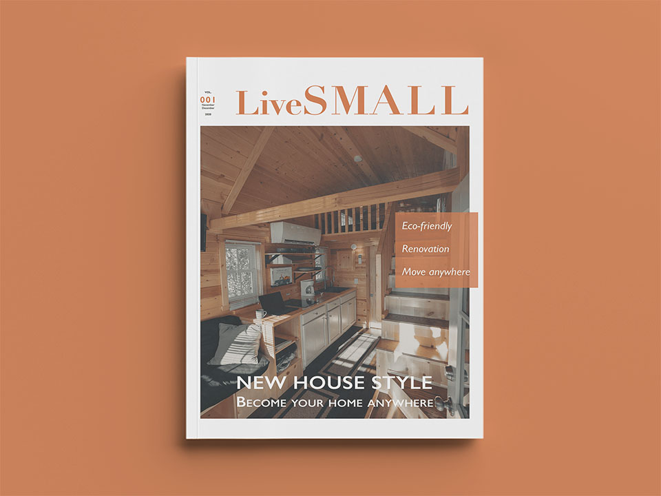 Magazine work for livesmall