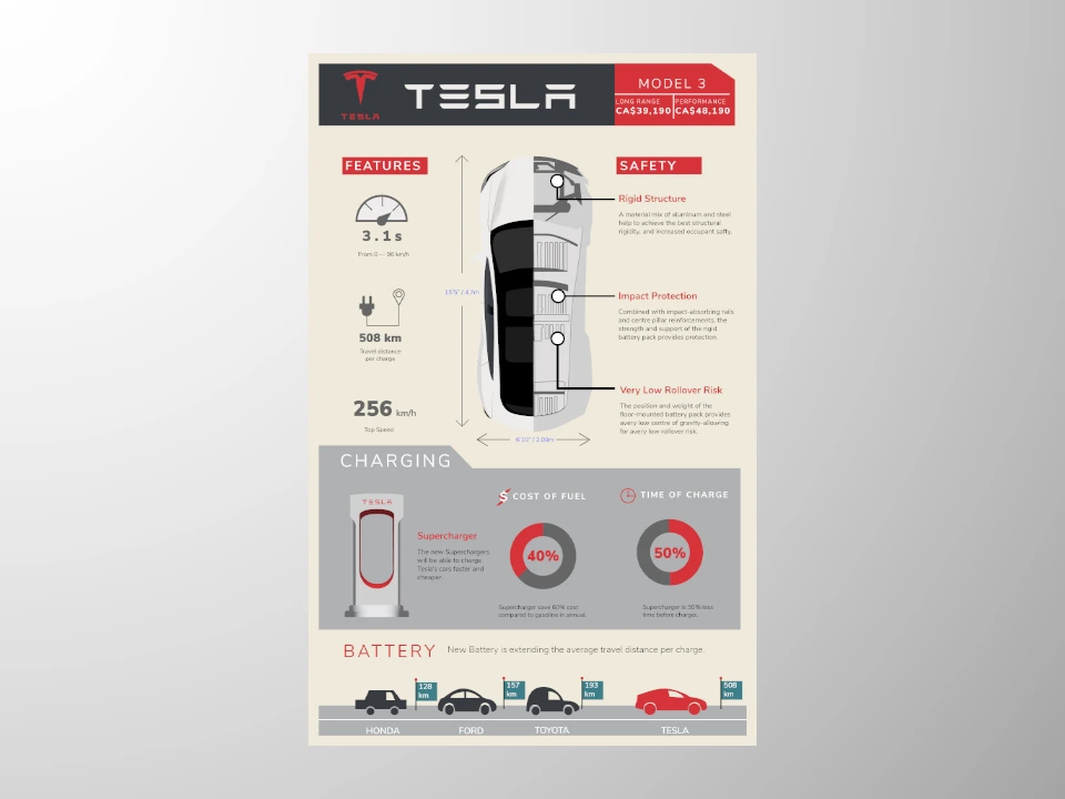 Infographic work for tesla